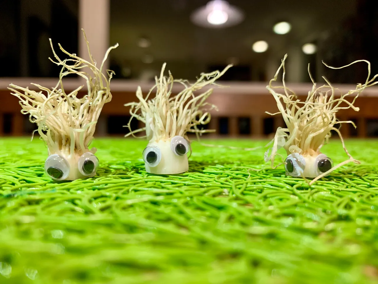 googlyEyes Bee Gees.jpg