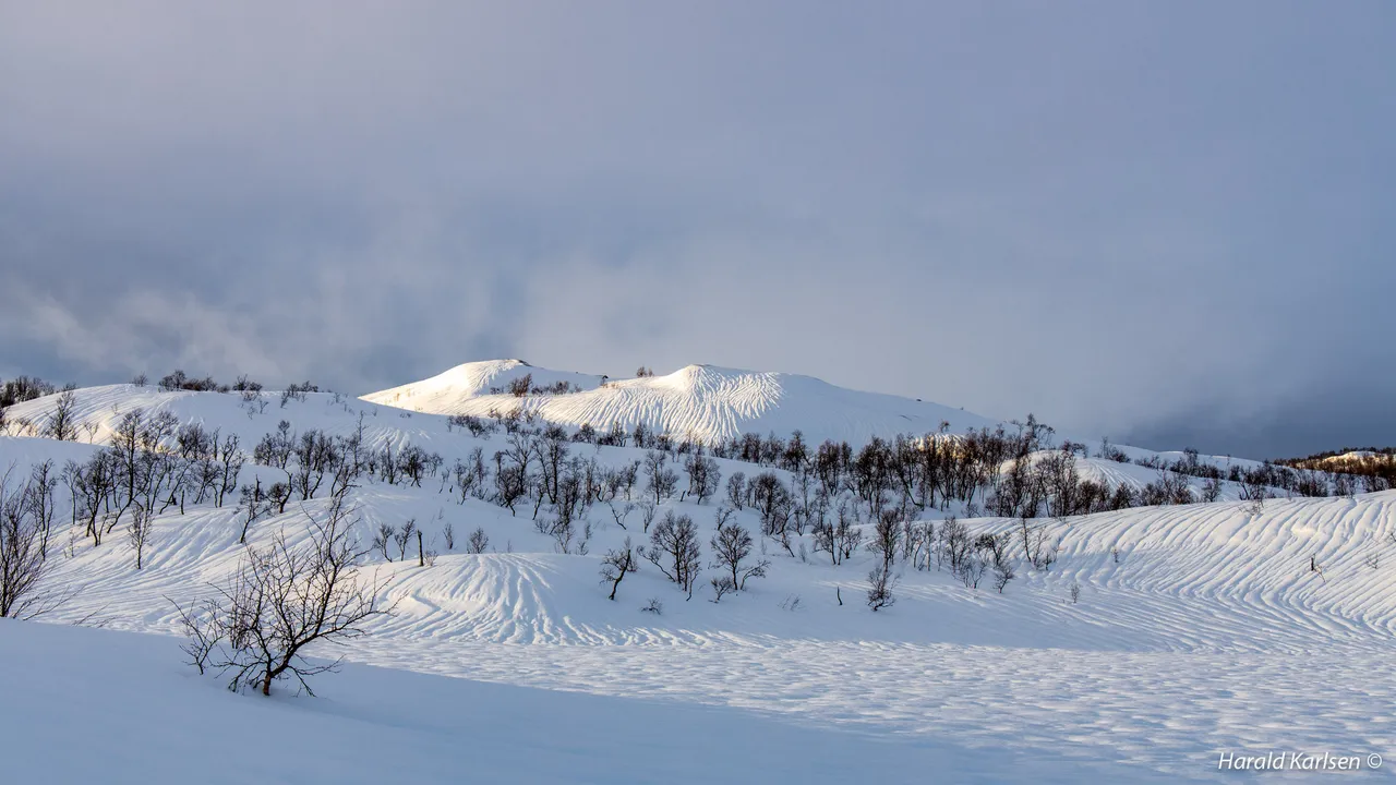 Nygårdsfjellet12.jpg