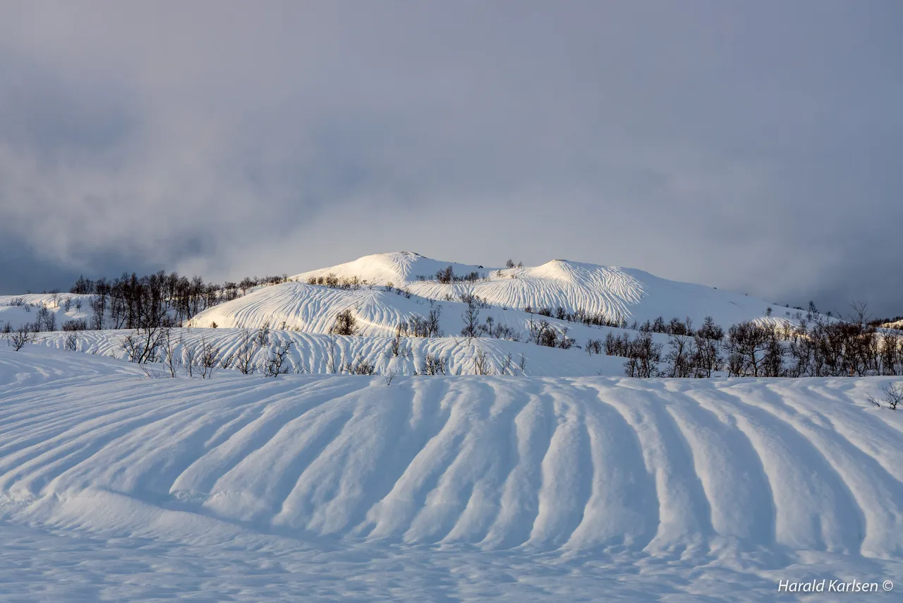 Nygårdsfjellet11.jpg