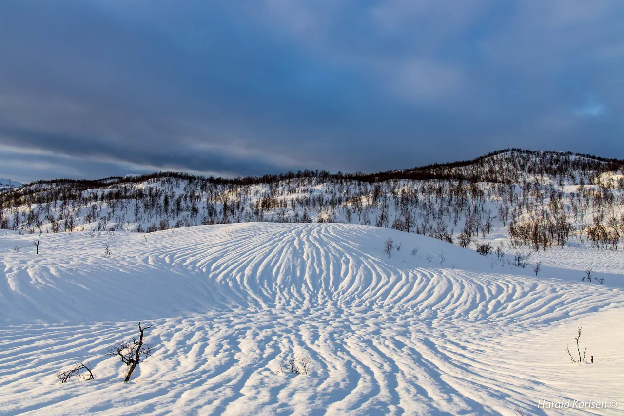 Nygårdsfjellet17.jpg