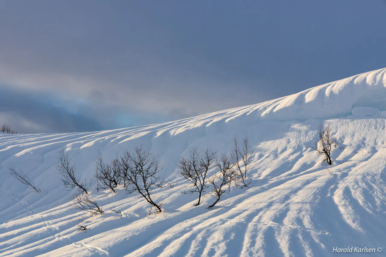 Nygårdsfjellet15.jpg