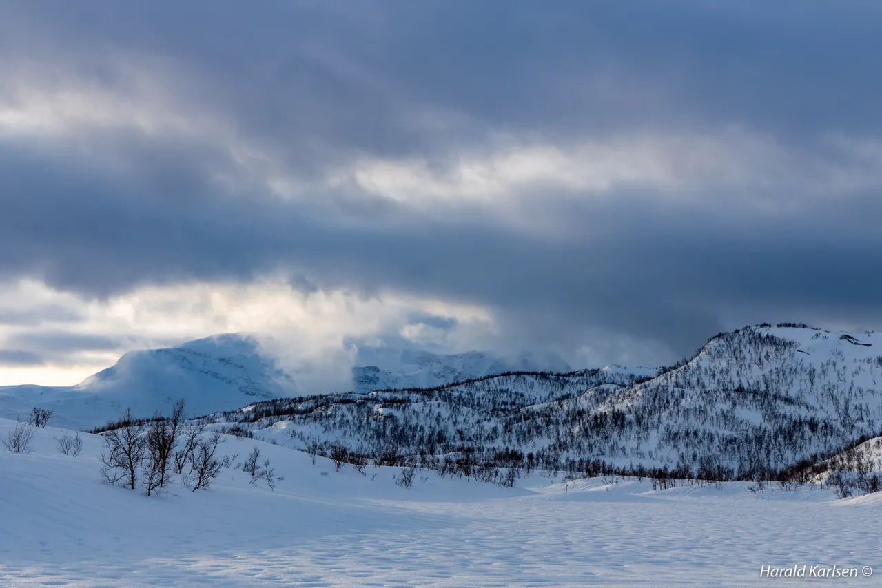 Nygårdsfjellet21.jpg