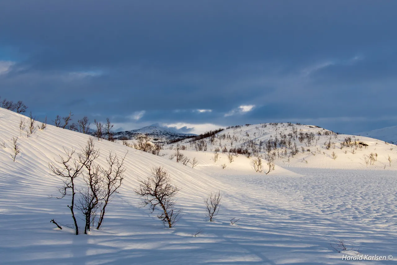 Nygårdsfjellet13.jpg