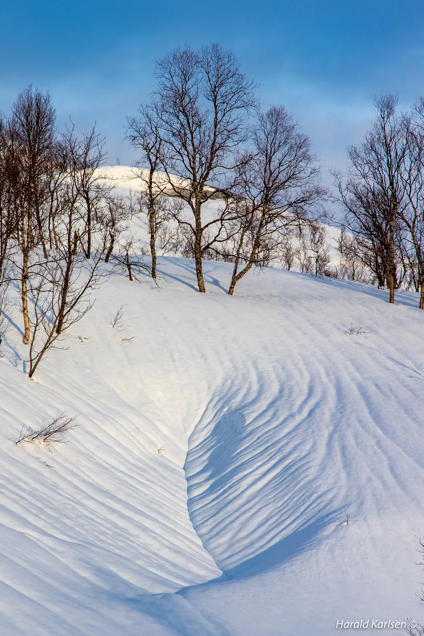 Nygårdsfjellet22.jpg