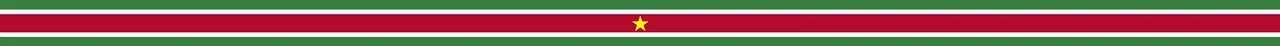 Suriname Banner.jpg