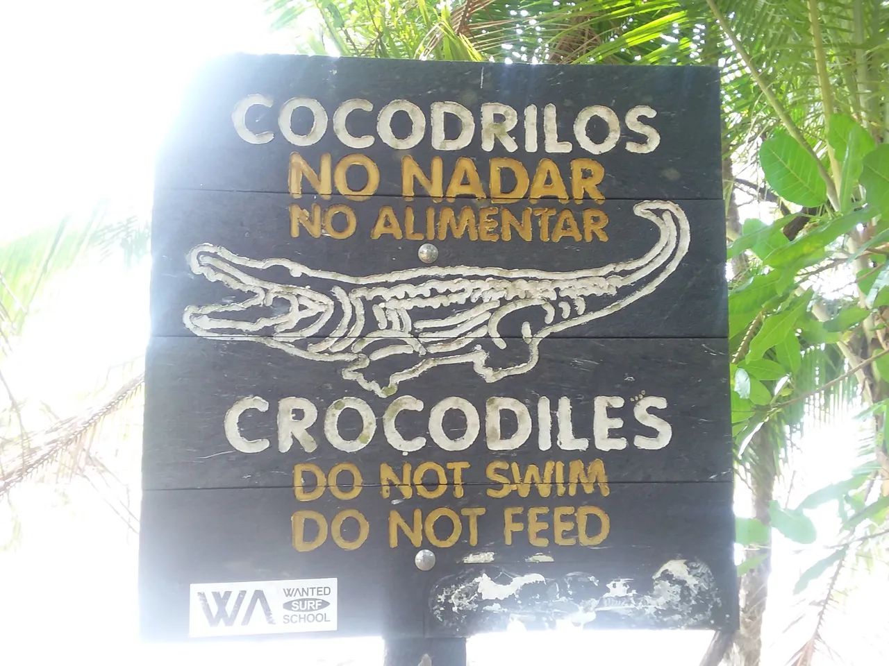 20190226_101114.jpg