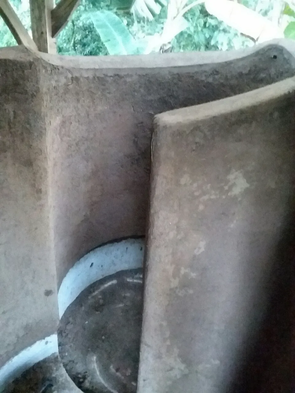 20190309_071924.jpg