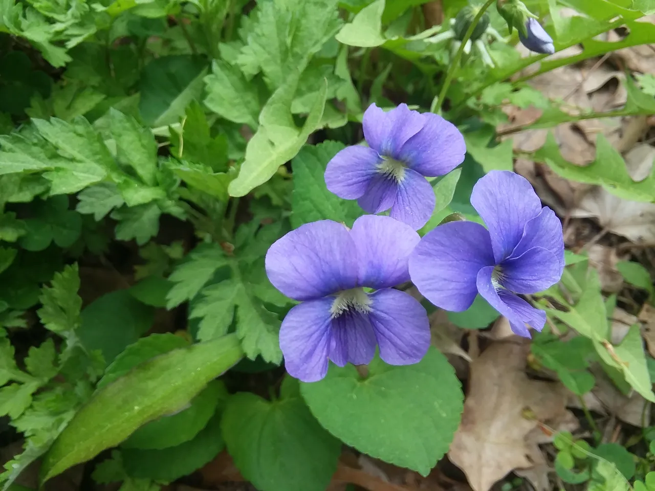 20190507_115818.jpg