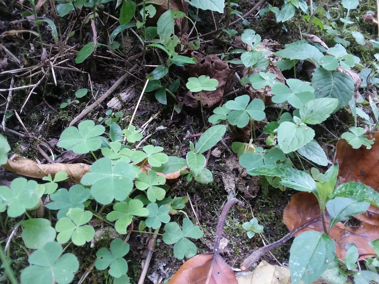 20190314_123105.jpg