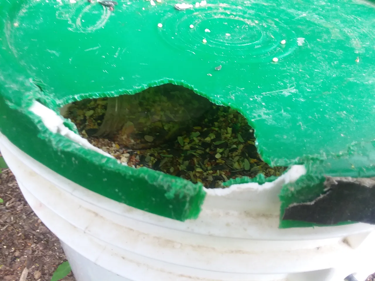 20190606_135133.jpg