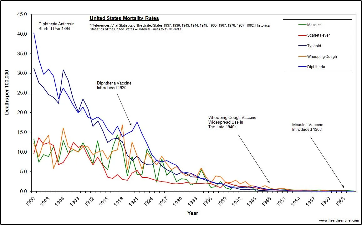 usdeaths19001965.jpg