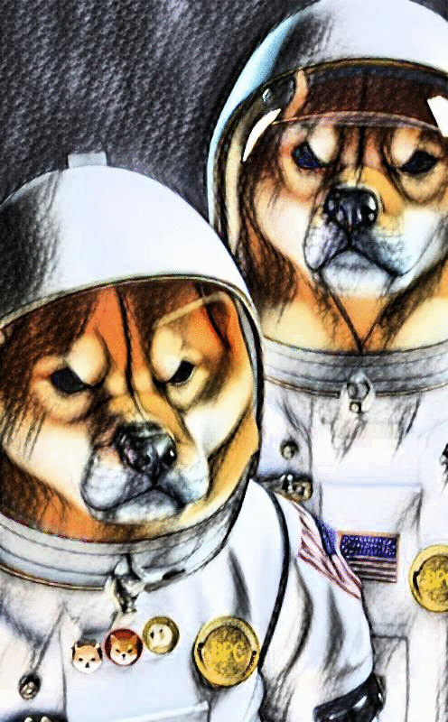 Shibaelondoge bpc astronauts2
