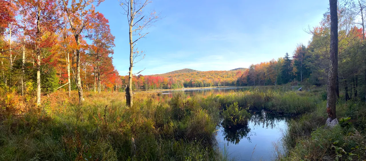 Behind dam