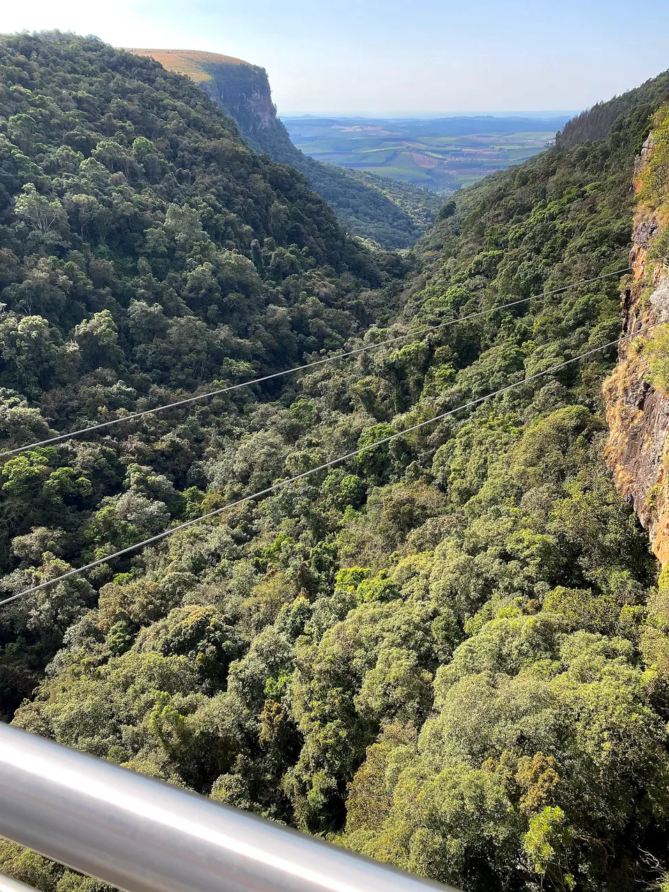 Taking a Glass Lift into Nature in Graskop, Mpumalanga, South Afric...