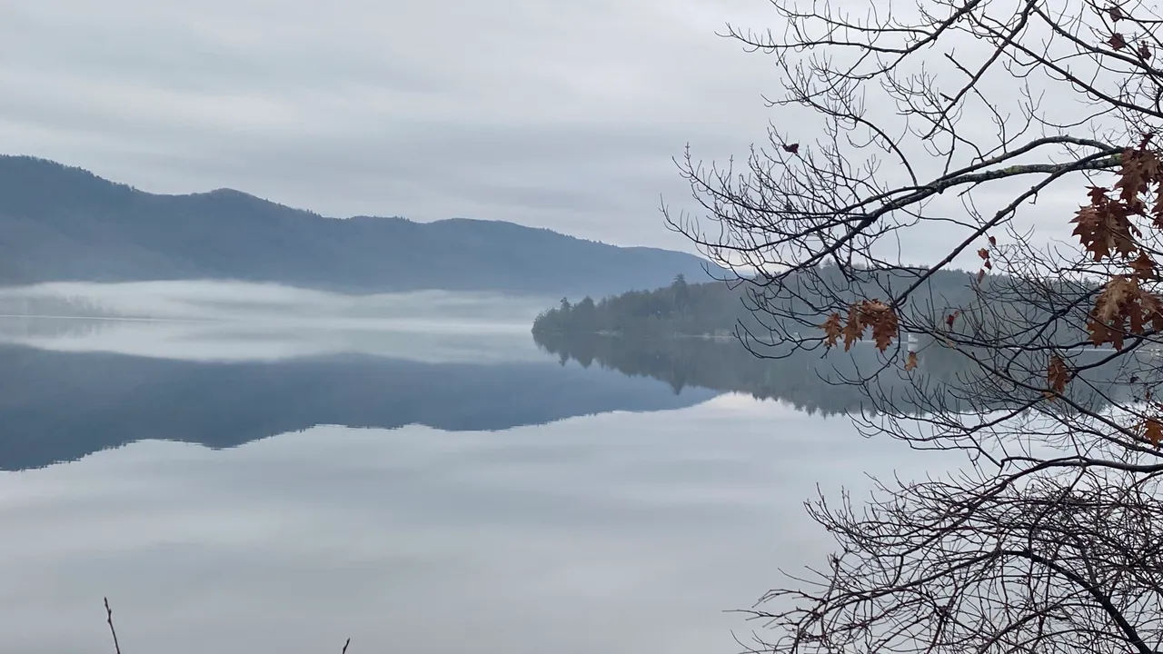 Fog on the water