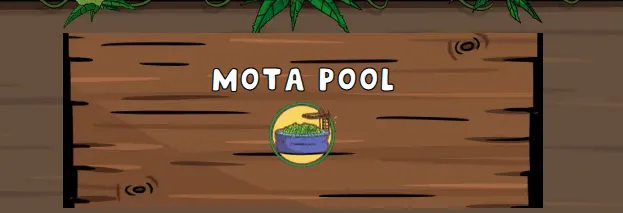 mota_1.png