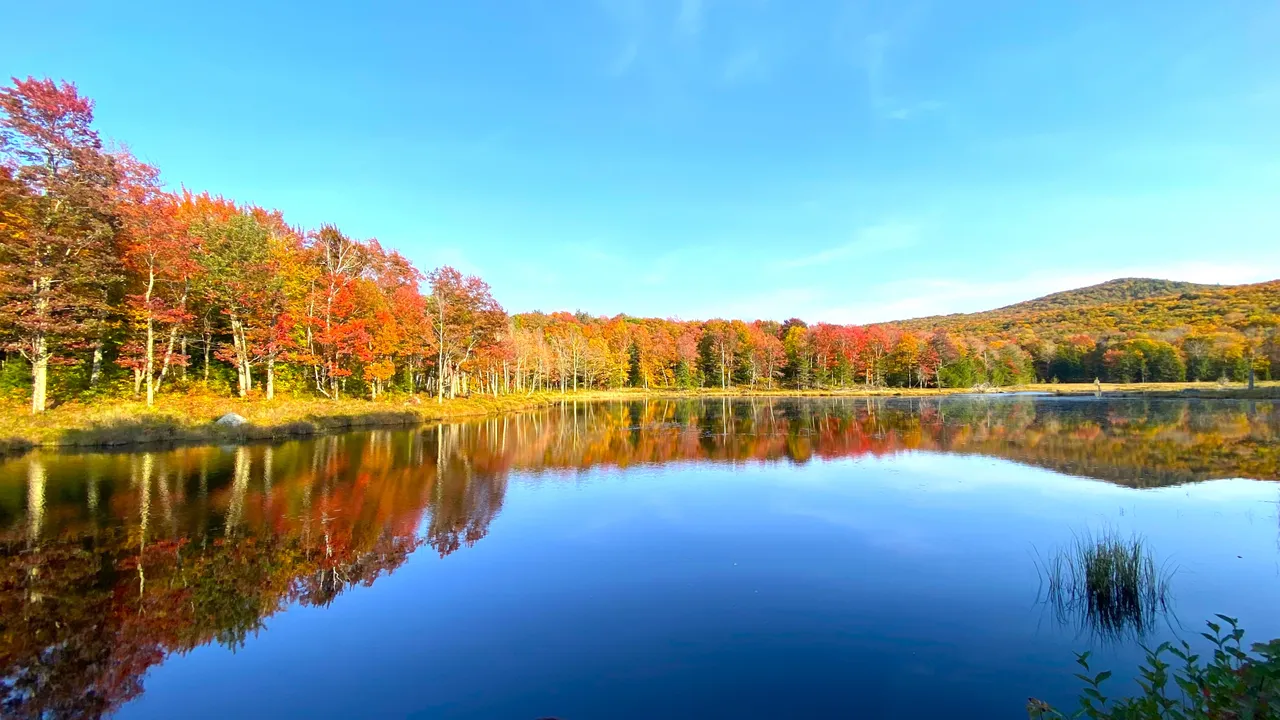 From beaver lodge