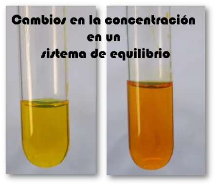 portada.png