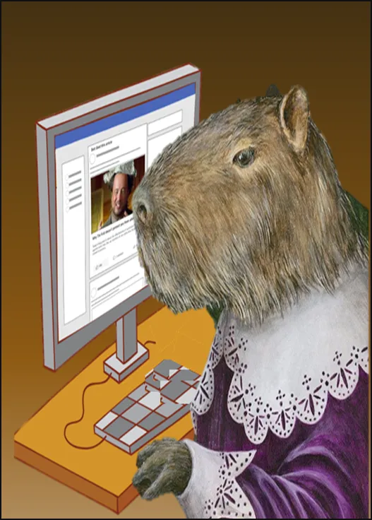 Imagen5.png