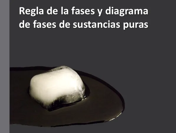 Imagen1.png