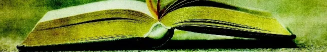libro a.jpg