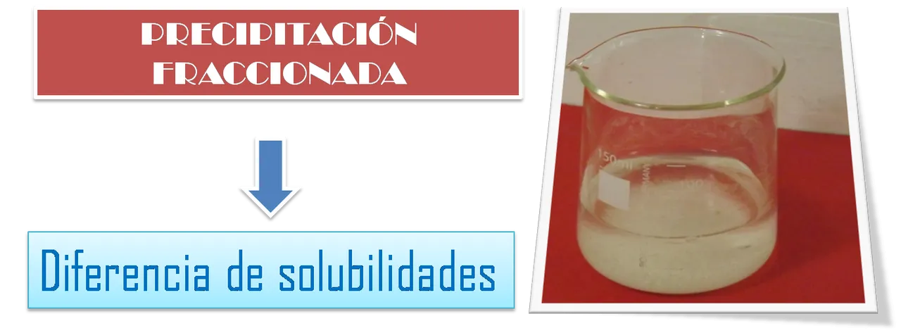 Imagen3.png