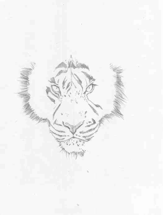 tigre04.jpg