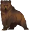 1 (6).png