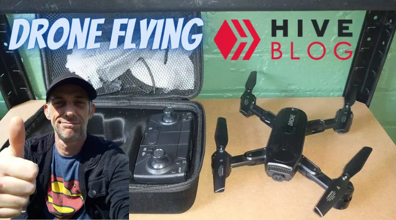 Flying!.png