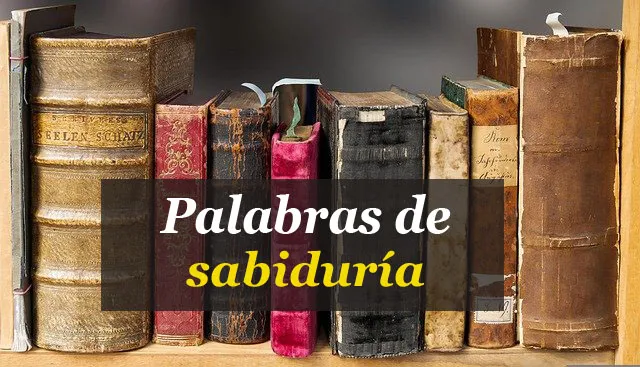 portada.jpg