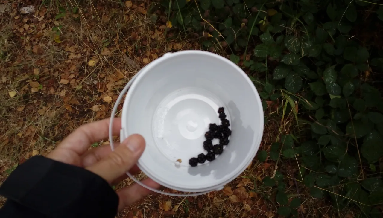 bucket.jpeg