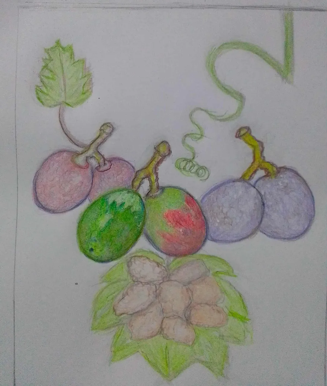 grapes3.jpg