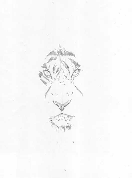 tigre03.jpg