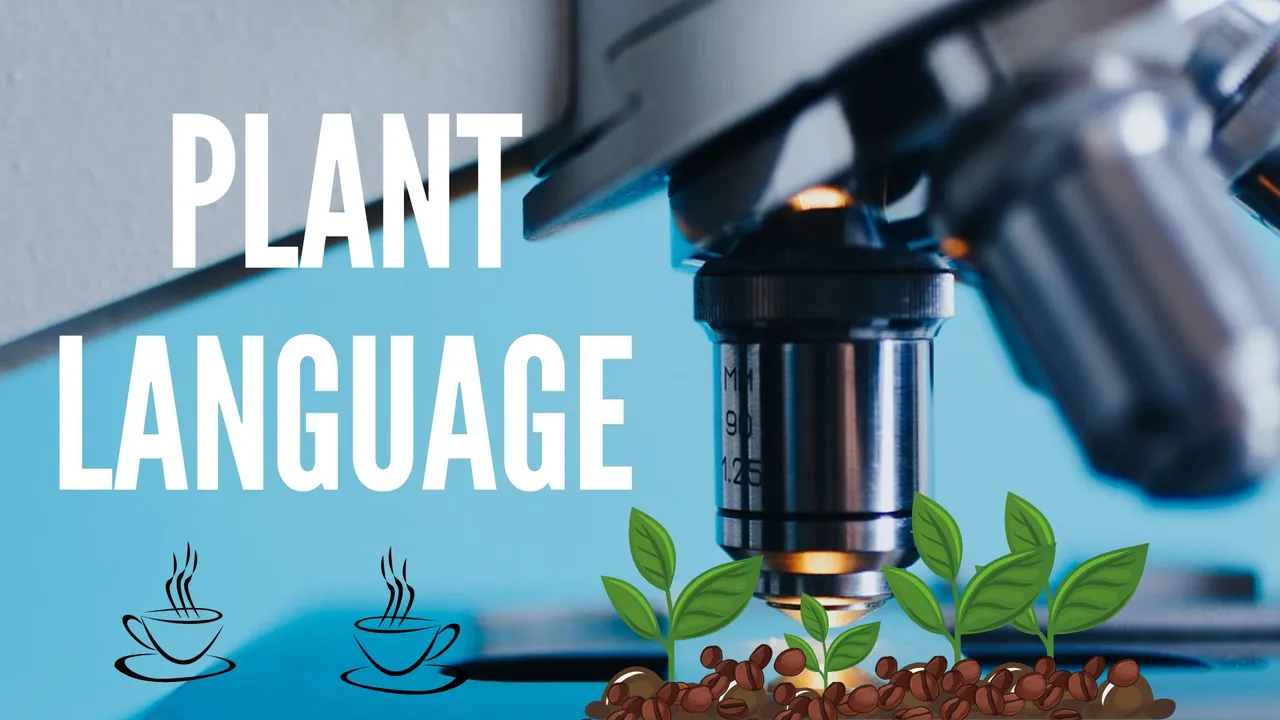 plantas.jpg