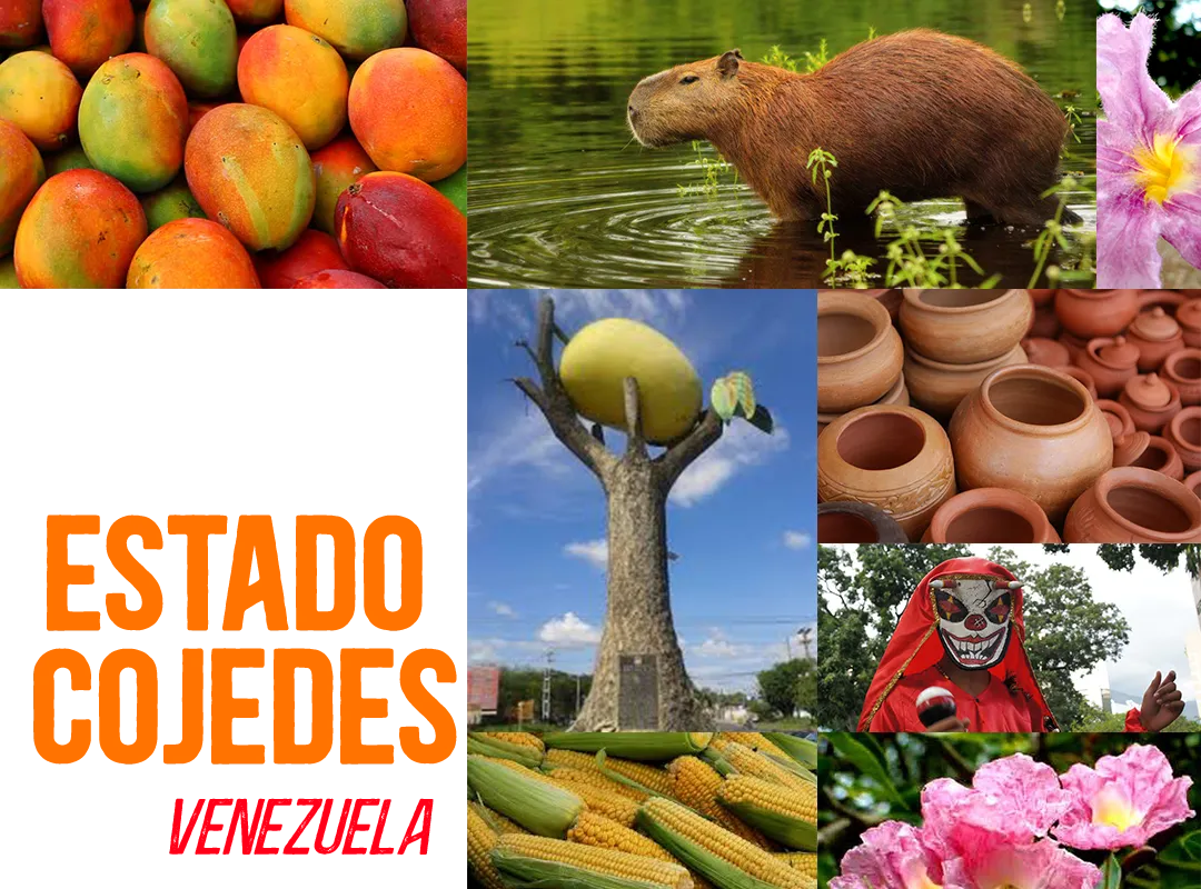 COJEDES.png