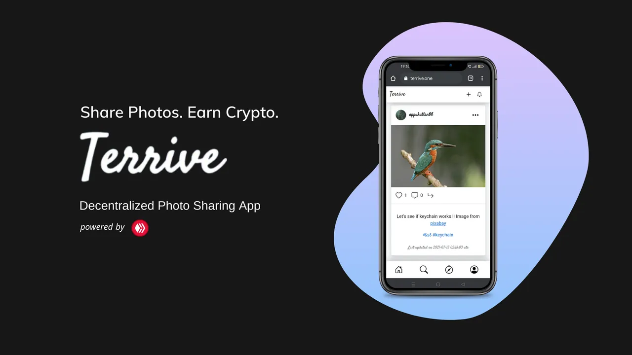 Terrive: The Hive Alternative for Instagram