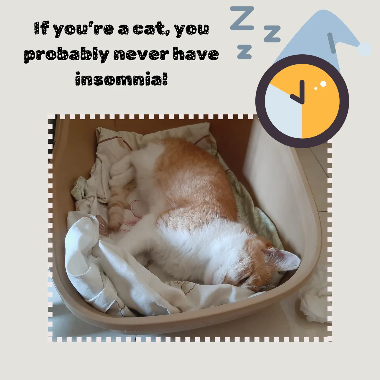 insomia.png
