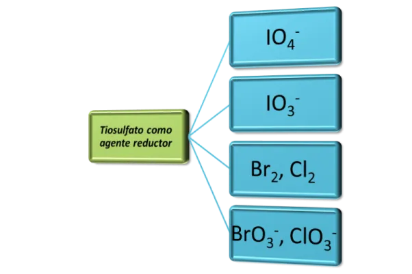 Imagen5.png
