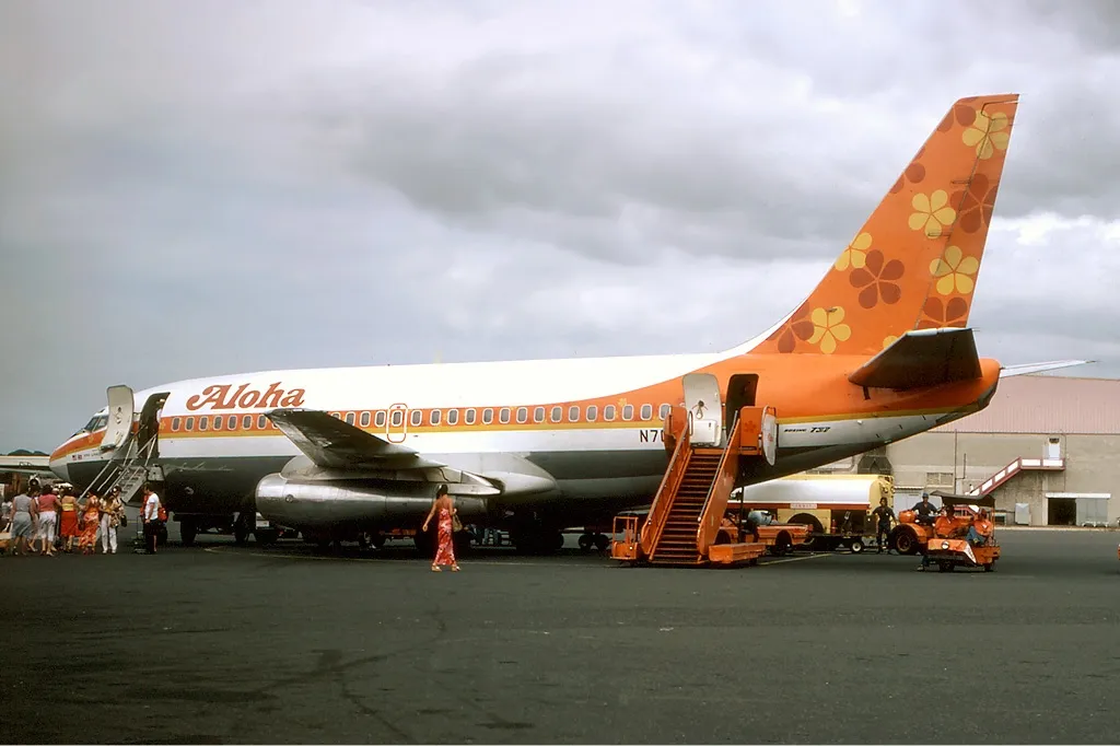 aloha 7.jpg