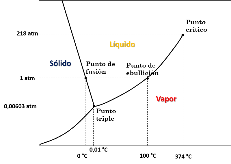 Imagen3.png