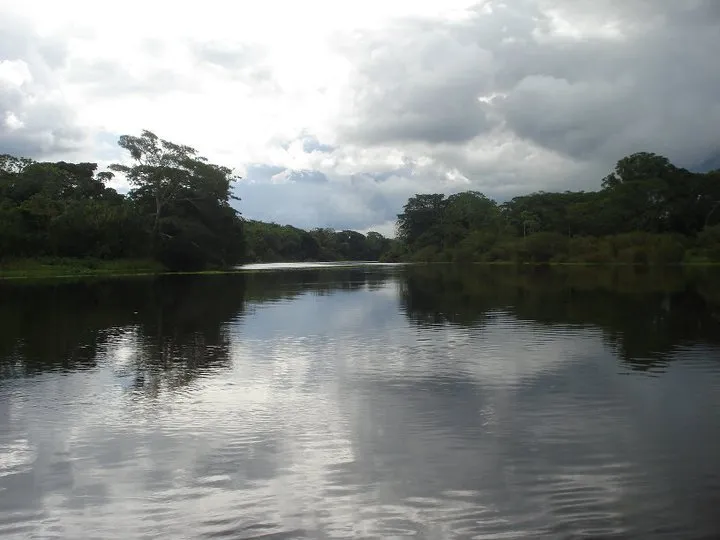 Rio g.jpg