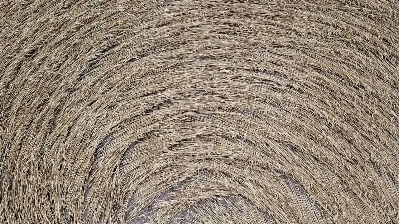pikto10.jpg