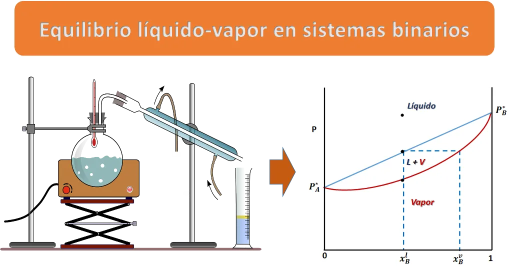 Imagen1.png