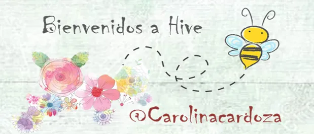 Imagen6.png