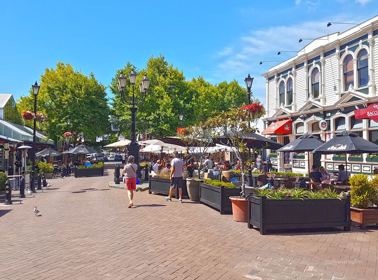 Nelson City - Gearing up for the upcoming New Year