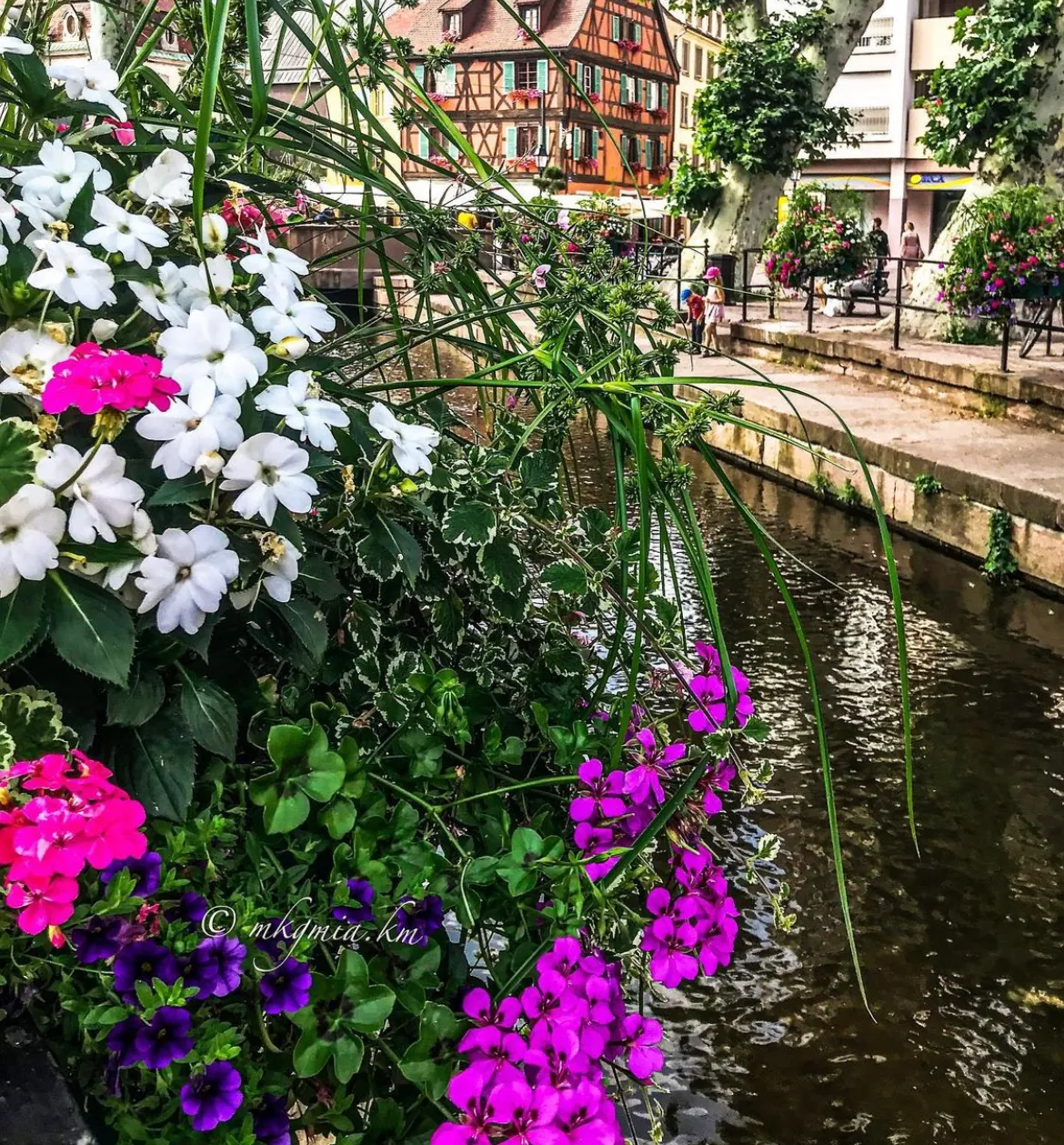 Colmar France