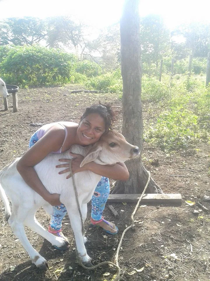Here I am forcing the calf to receive my embrace.