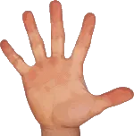 finger.png