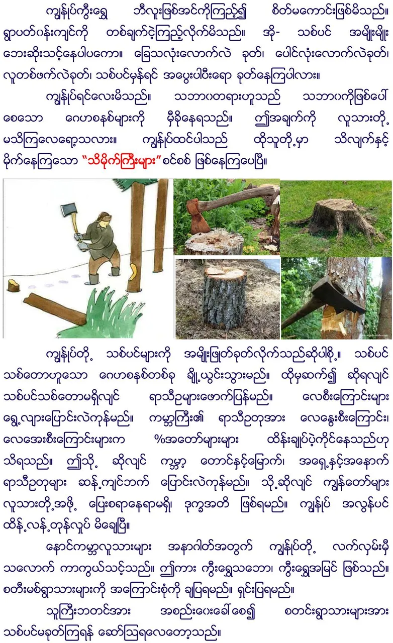 Slide6.jpg