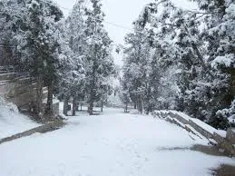 ziarat.jpg